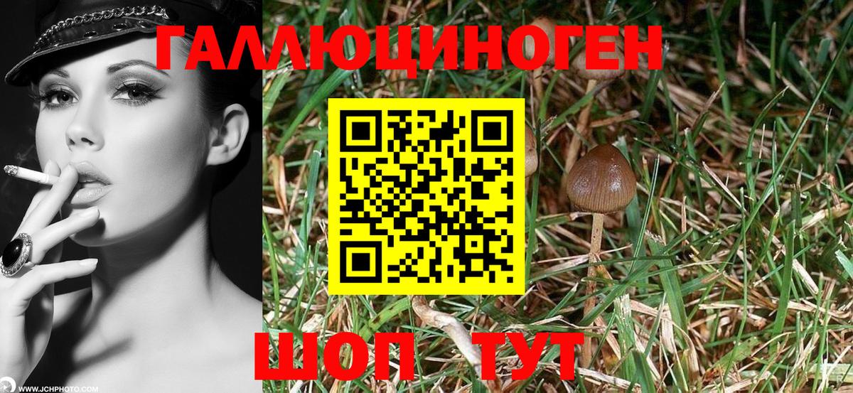 Псилоцибиновые грибы MAGIC MUSHROOMS  Вход с VPN  Белореченск  где продают наркотики  Псилоцибиновые грибы мухоморы 